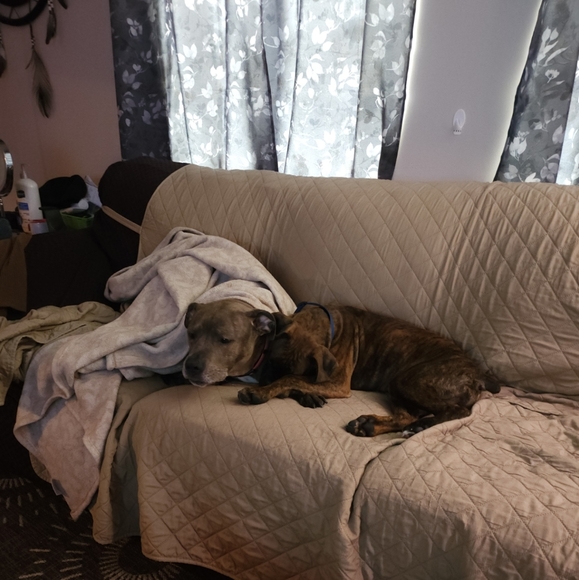 Come join me for a live show. 💜❤️. Come join the fun. - Picture 12 of 16